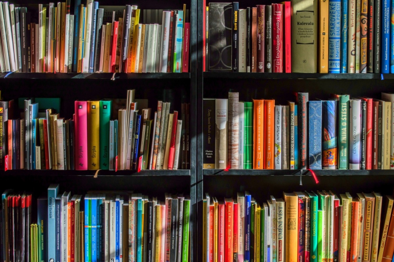 boutique-BERRE LES ALPES-min_books_bookstore_book_reading_shop_writer_sale_books_read-822866